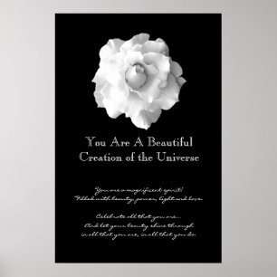 Affiche Inspiration Rose blanche