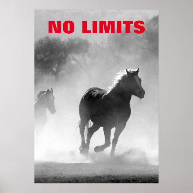 Affiche Inspirationnel Sans Limites Chevaux Motivationnel (Devant)