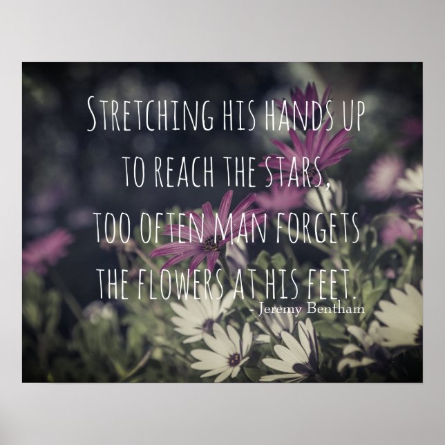 Affiche Inspiring Jeremy Bentham Quote (Devant)