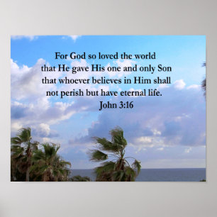 AFFICHE INSPIRING JOHN 3:16 PHOTO