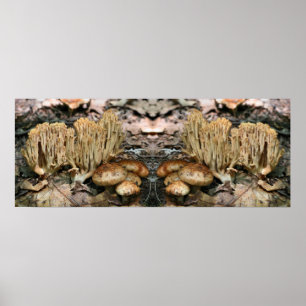 Affiche Intéressant champignons sauvages miroir Abstrait