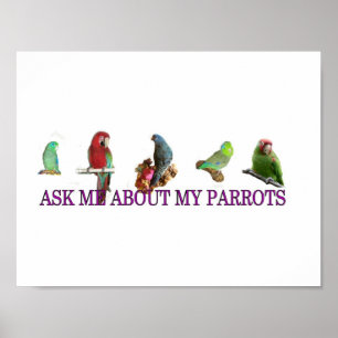 Affiche Interrogez-moi au sujet de mes perroquets