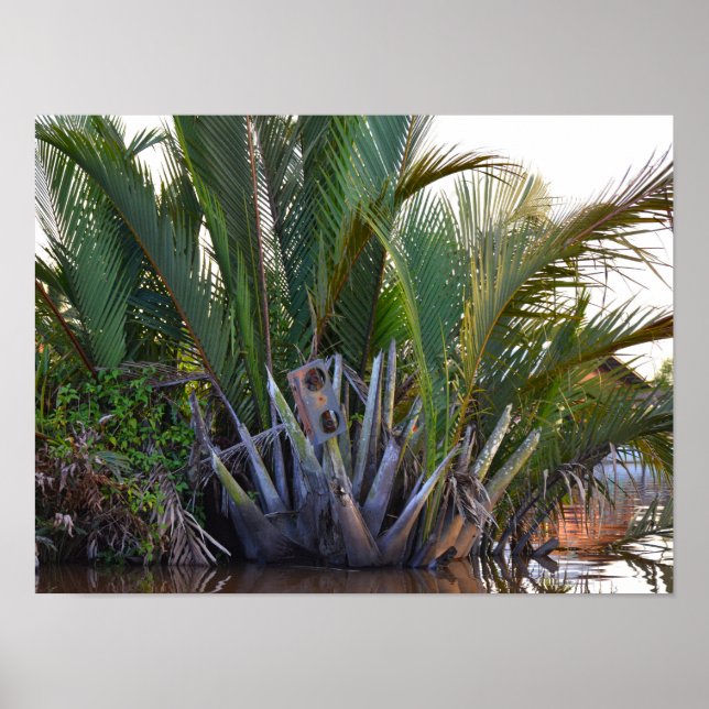 Affiche Intervenant pris à Nipa Palm dans la péninsule de  (Devant)