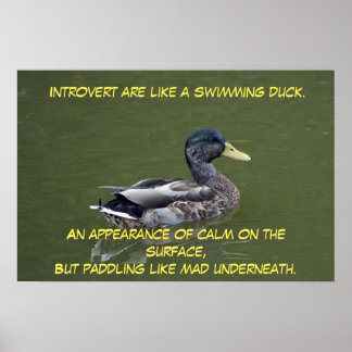 Affiche Introduire le canard