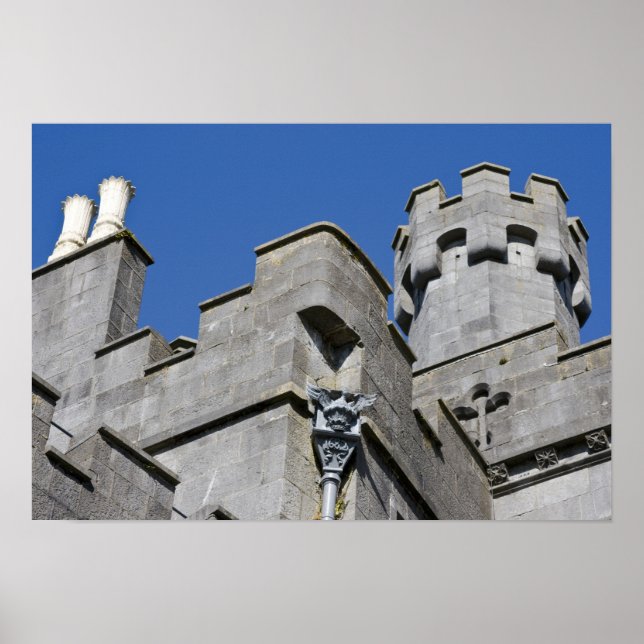 Affiche Ireland, County Kilkenny, medieval castle. (Devant)