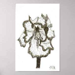 Affiche Iris
