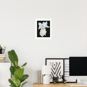 Affiche Iris à barbe blanche sur fond noir