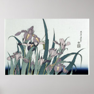 Affiche Iris anciens et une sauterelle par Katsushika Hoku