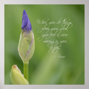 Affiche Iris avec la citation