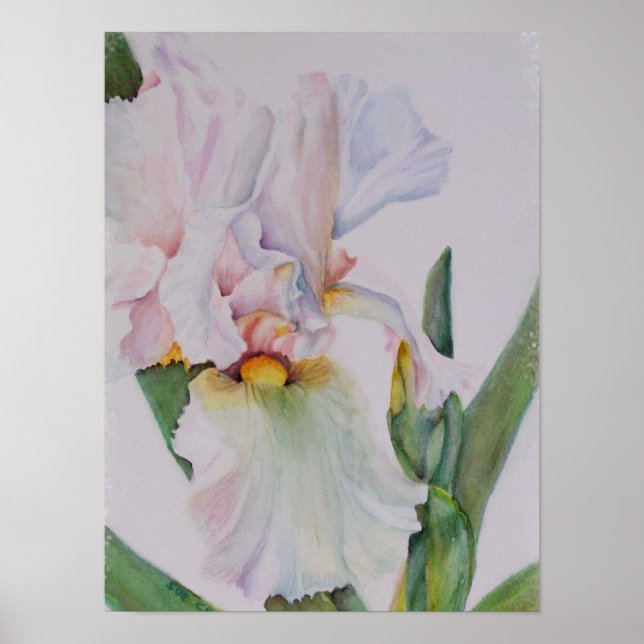 Affiche Iris blanc unique (Devant)