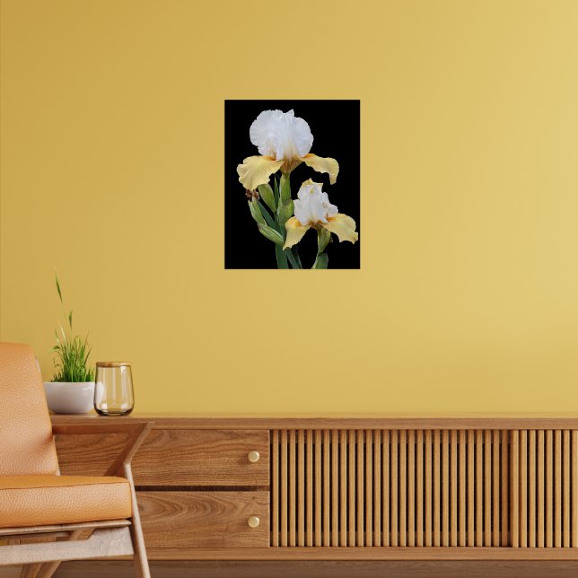 Affiche Iris blancs et jaunes Floral (Salon 2)