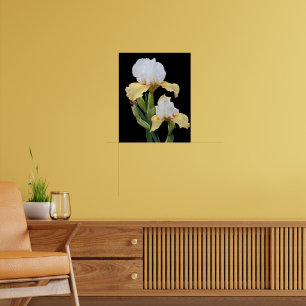 Affiche Iris blancs et jaunes sur fond floral noir