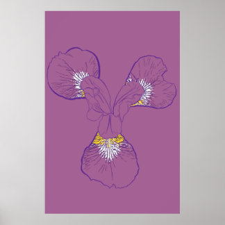 Affiche Iris Botanical Line Art