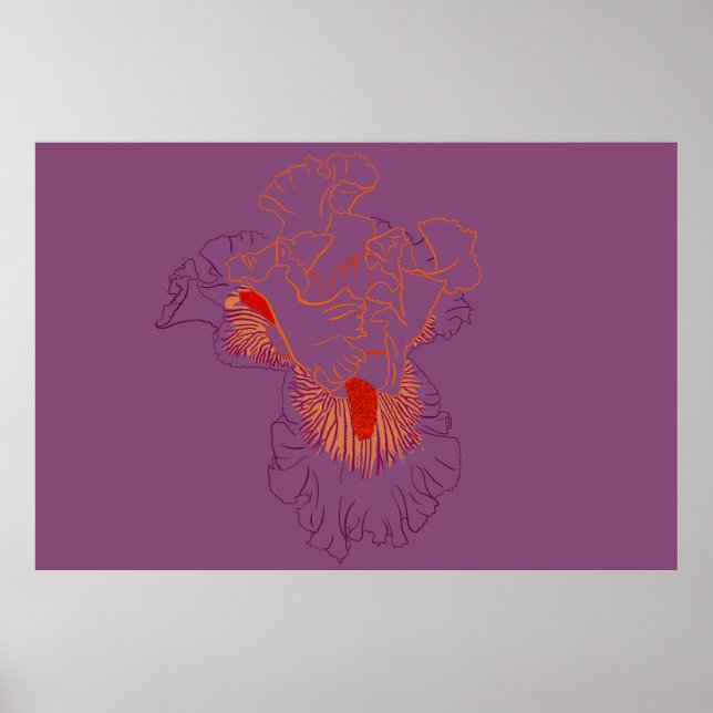 Affiche Iris Botanical Line Art (Devant)