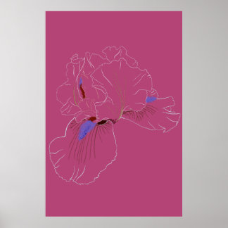 Affiche Iris Botanical Line Art