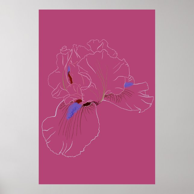 Affiche Iris Botanical Line Art (Devant)