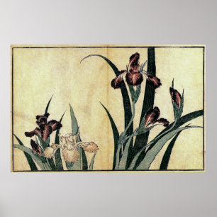 Affiche Iris de Katsushika Hokusai