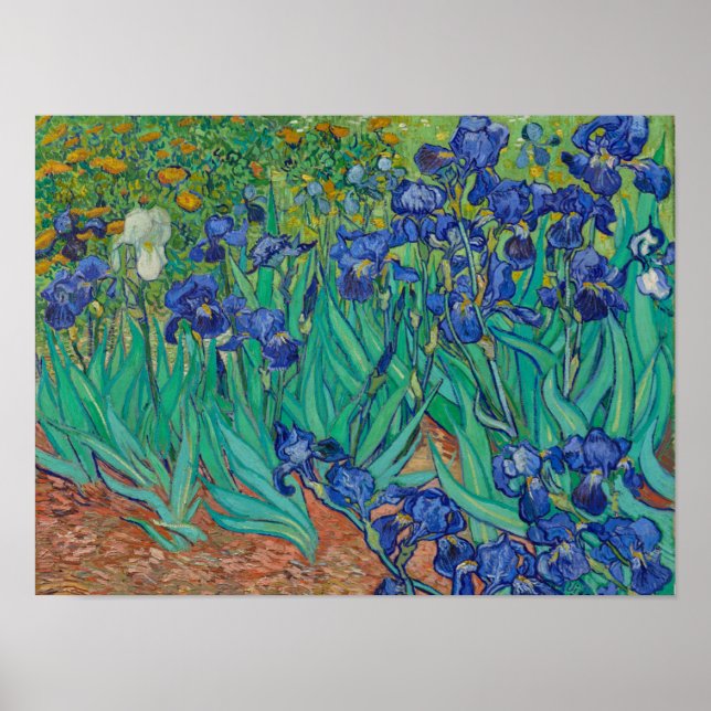Affiche Iris de Van Gogh (Devant)