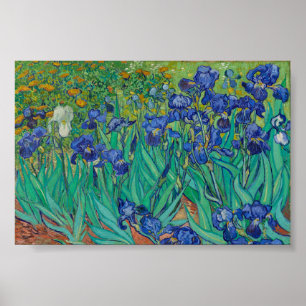 Affiche Iris de Van Gogh