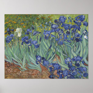 Affiche Iris de Van Gogh