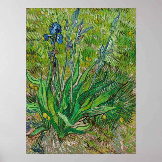 Affiche Iris de Van Gogh - Art floral bleu classique (Devant)