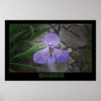 Affiche "Iris & Flagstone" - Imprimer