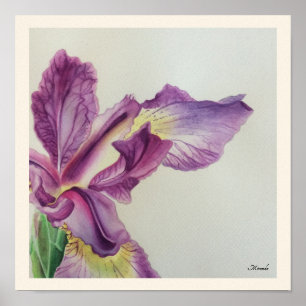 Affiche Iris Floral Art Print adapté à l'encadrement Miran