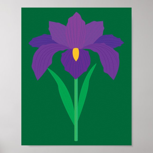 Affiche Iris Flower (Devant)