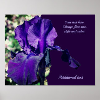 Affiche Iris Flower Ajouter votre texte personnalisé