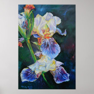 Affiche "Iris I"