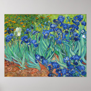 Affiche Iris par Van Gogh