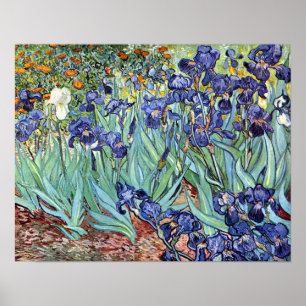 Affiche Iris par Vincent van Gogh 1898
