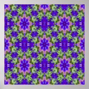 Affiche Iris Stars......