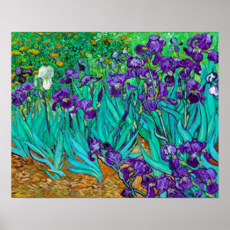 Affiche Iris, Vincent van Gogh