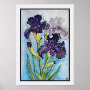 Affiche Iris Violet du Printemps