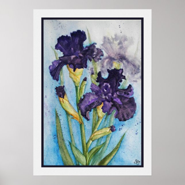 Affiche Iris Violet du Printemps (Devant)