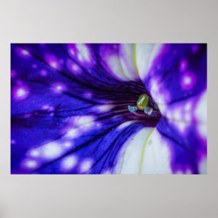 Affiche Iris Violet Macro – Art Floral en Gros Plan Vibran