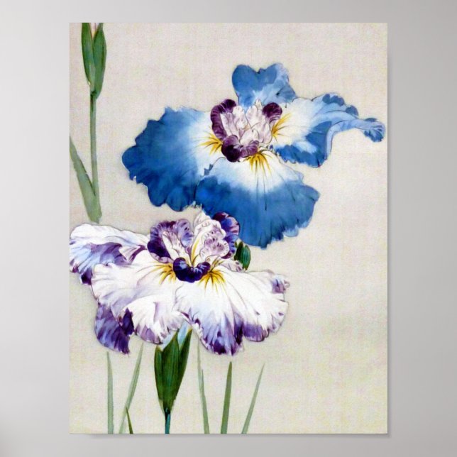 Affiche Iris, Watanabe Seitei (Devant)