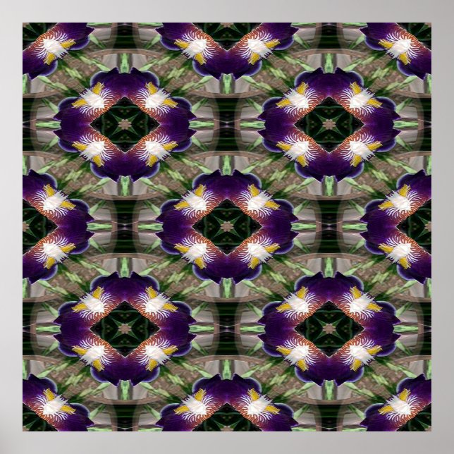 Affiche Iris Wreath.... (Devant)