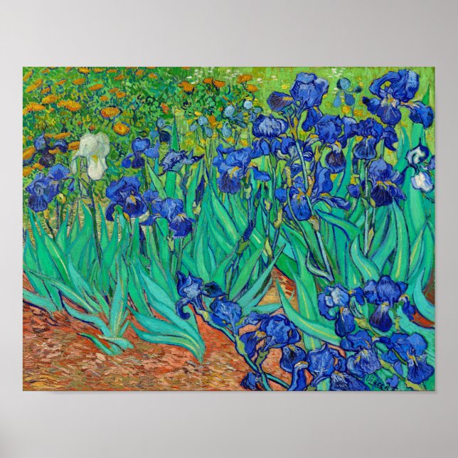 Affiche Irises (Devant)