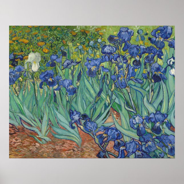 Affiche Irises (Devant)