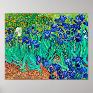 Affiche Irises (1889) Vincent Van Gogh jardin fleuri bleu