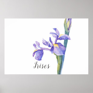 Affiche Irises aquarelle Floral