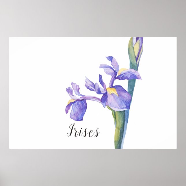 Affiche Irises aquarelle Floral (Devant)