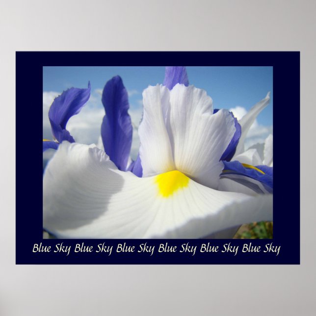 Affiche Irises Blue Sky art print Healing Touch Nuring (Devant)
