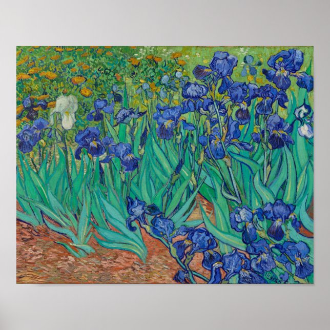 Affiche Irises by Vincent Van Gogh (Devant)