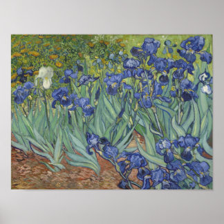 Affiche Irises de van Gogh