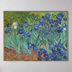 Affiche Irises de Vincent Van Gogh.