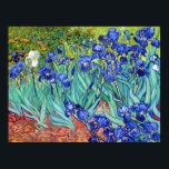 Affiche Irises de Vincent Van Gogh fleur de peinture vibra<br><div class="desc">Irises de Vincent Van Gogh fleur de peinture vibrante Poster</div>