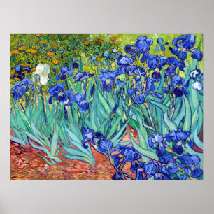 Affiche Irises de Vincent Van Gogh fleur de peinture vibra